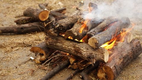 雨のキャンプで焚き火をする方法とは？