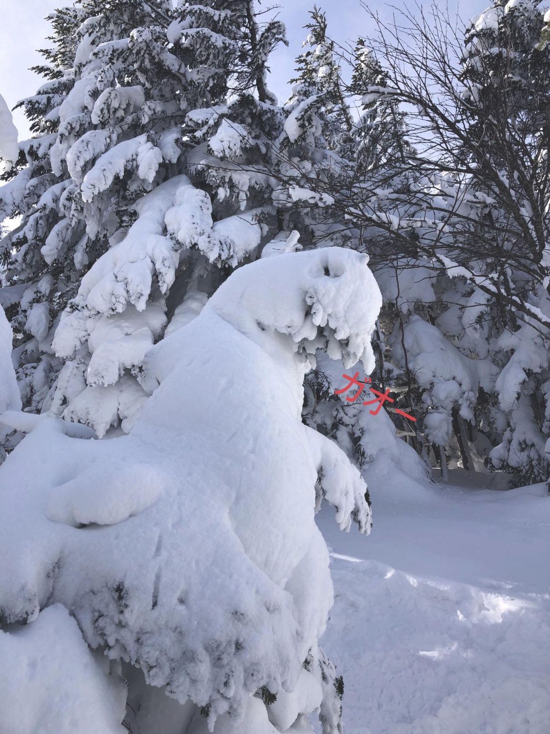 雪山に現れた怪獣冬将軍［読者投稿記事］
