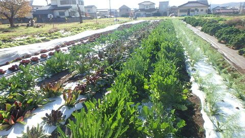 地元を知る絶好の機会！全国農協観光協会のツアーで多摩の魅力を再発見!!