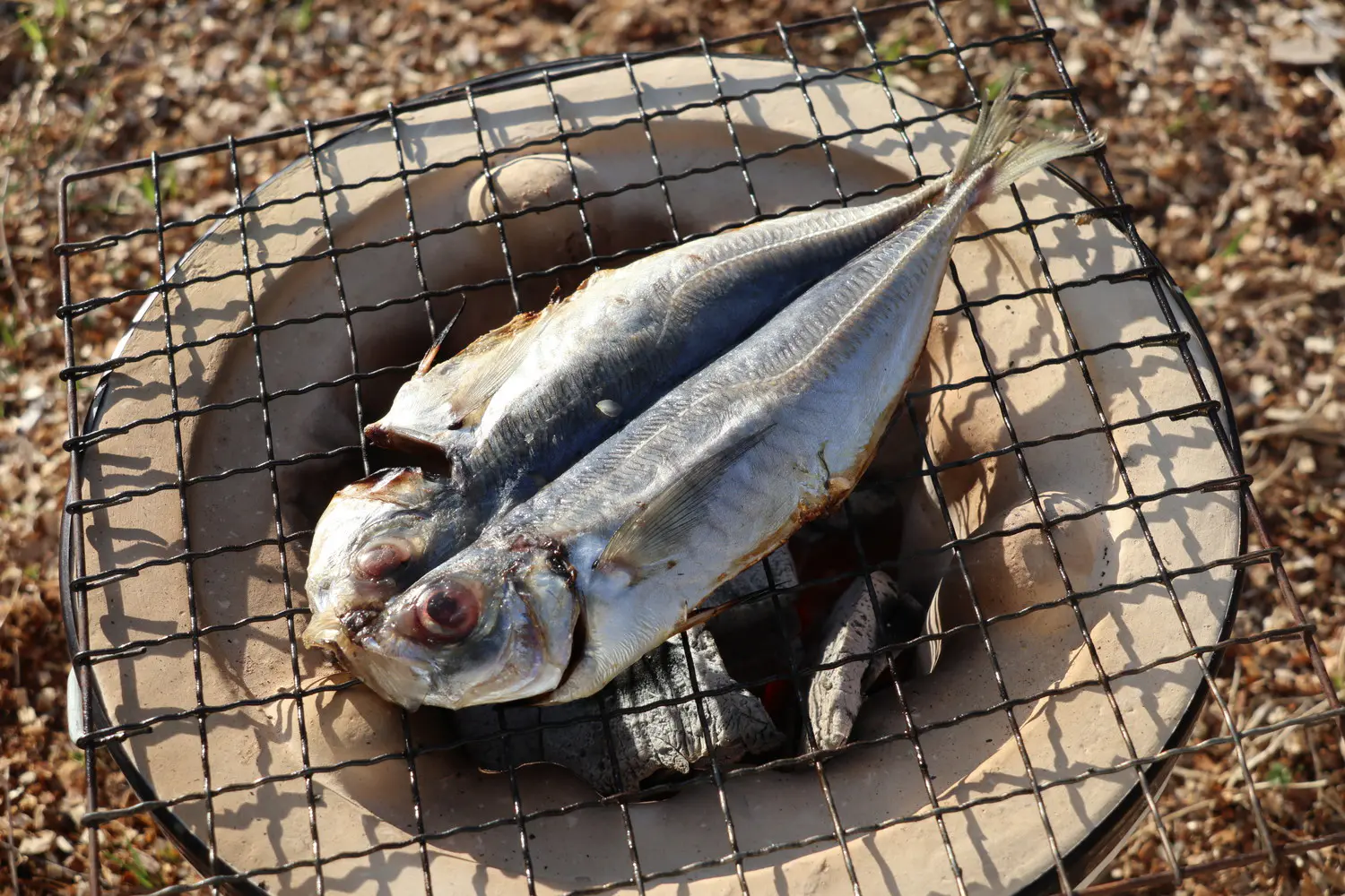 炭火で魚を上手に焼くには 身から焼く それとも皮から焼く Be Pal