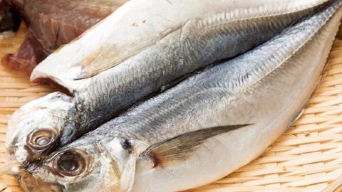 炭火で魚を上手に焼くには…身から焼く？それとも皮から焼く？