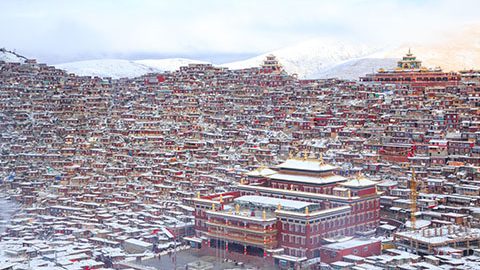 旅をしながら探し続けた、祈りの意味。写真家・竹沢うるまが『ルンタ』で綴ったチベット文化圏の旅（前編）
