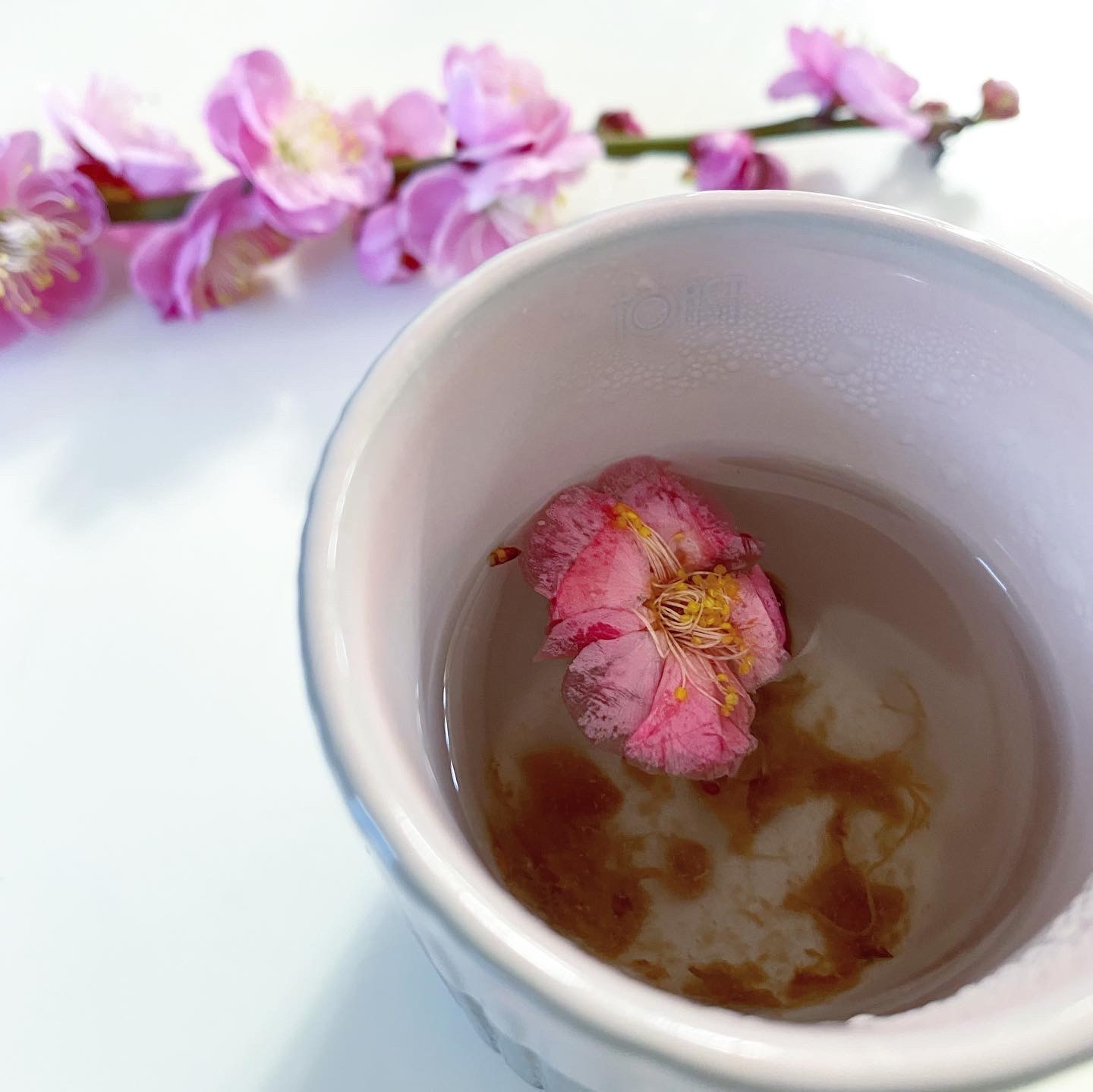 梅 桃 桜の見分け方を知ってる 雛祭り は 梅干しで 梅の花 を漬けてみよう ナチュラルライフ Be Pal キャンプ アウトドア 自然派生活の情報源ビーパル