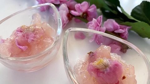 梅・桃・桜の見分け方を知ってる？「雛祭り」は、梅干しで「梅の花」を漬けてみよう！