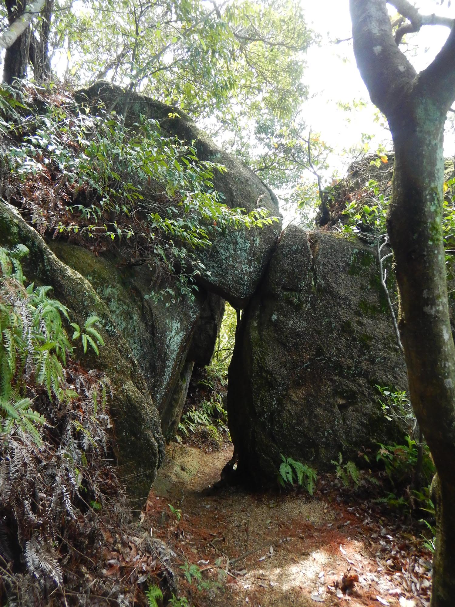 岩石山 の巨石群は圧巻 山城があった展望最高の山を日帰り登山 山 ハイキング クライミング Be Pal キャンプ アウトドア 自然派生活の情報源ビーパル