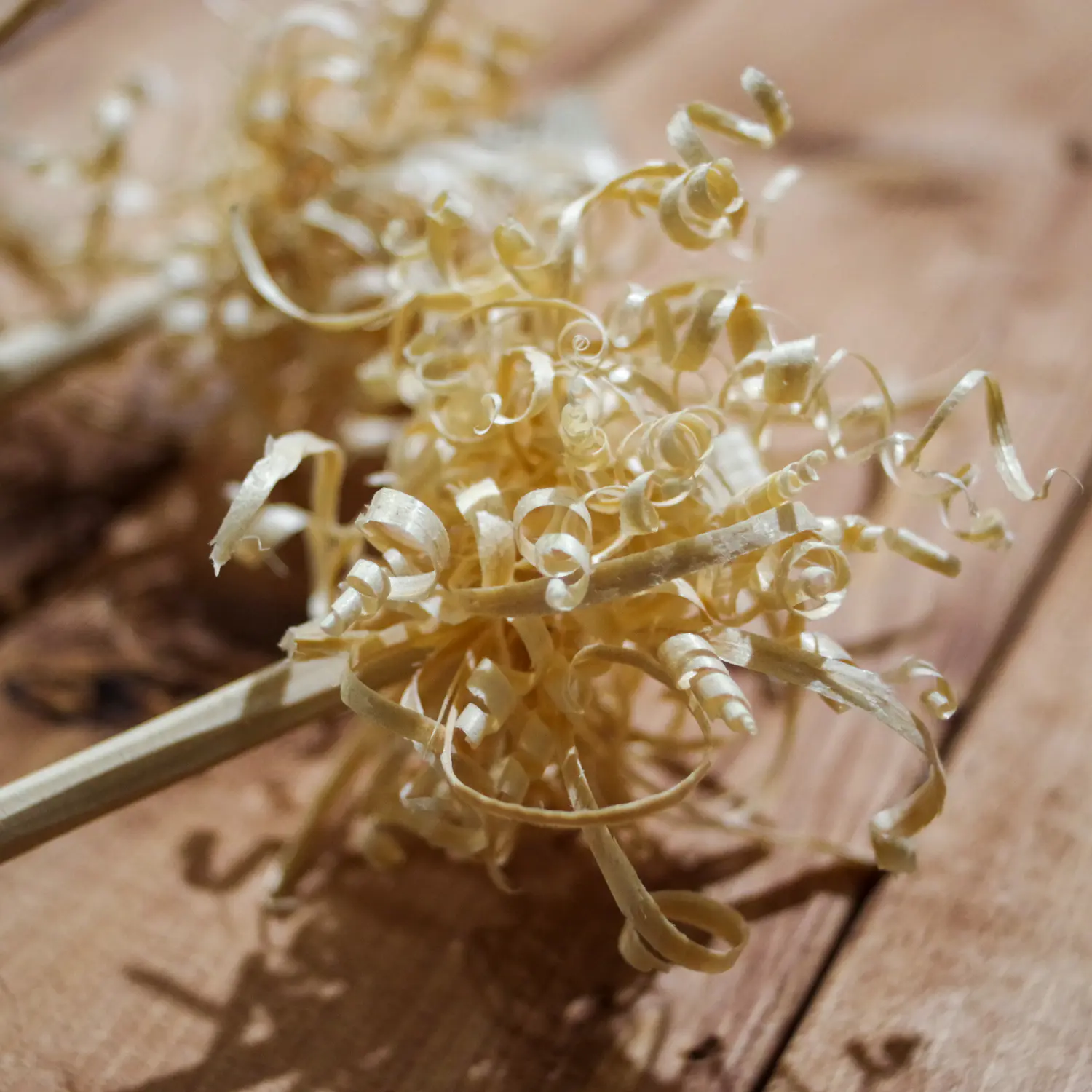 ブッシュクラフト入門 初心者もわかるナイフの選び方とフェザースティックの作り方 ブッシュクラフト Be Pal キャンプ アウトドア 自然派生活の情報源ビーパル