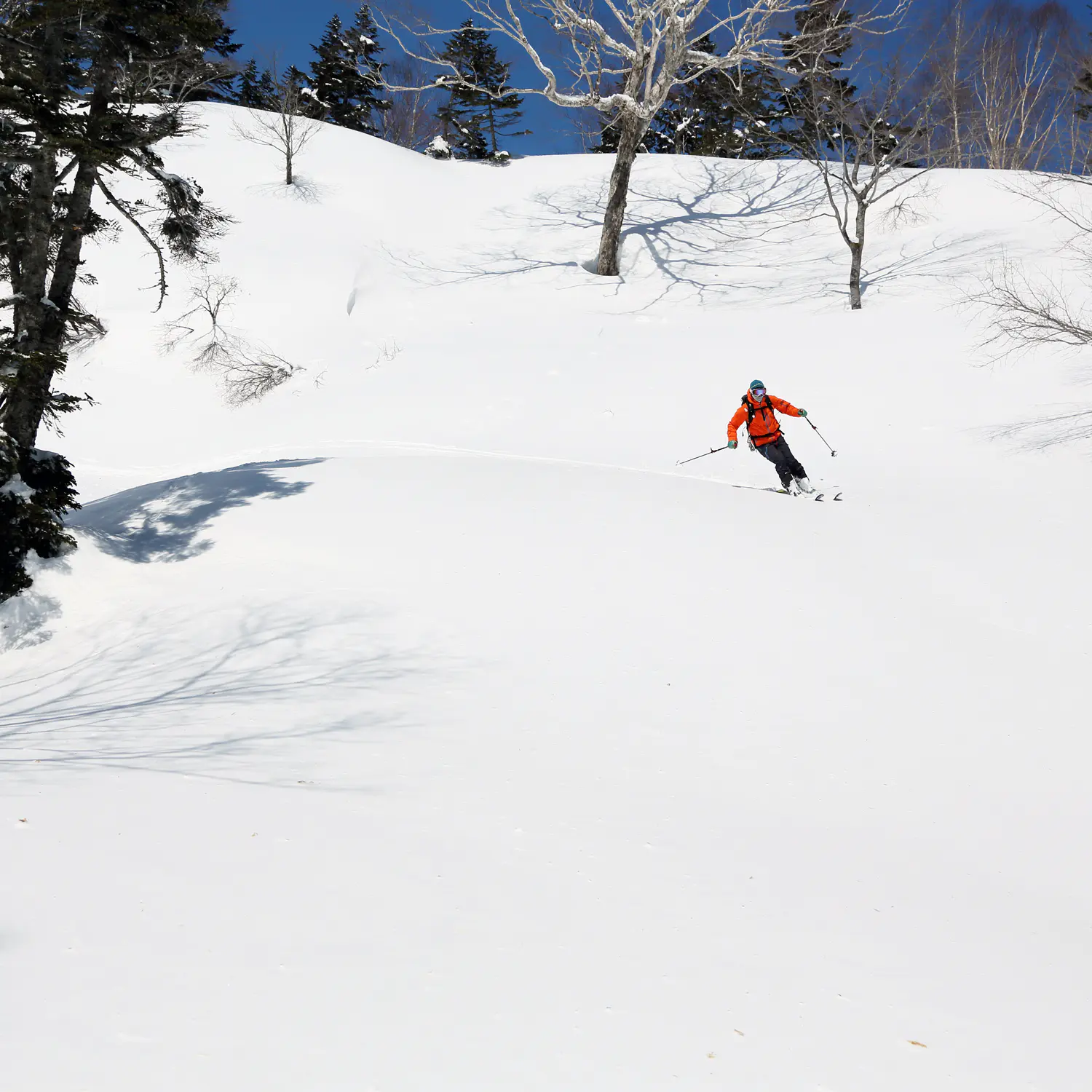 バックカントリー初心者にオススメ 栂池高原からアクセス簡単な鵯峰を紹介 スキー スノーボード Be Pal キャンプ アウトドア 自然派生活の情報源ビーパル バックカントリー初心者にオススメ 栂池高原からアクセス簡単な鵯峰を紹介 スキー スノーボード Be Pal キャンプ アウトドア 自然派生活の情報源ビーパル