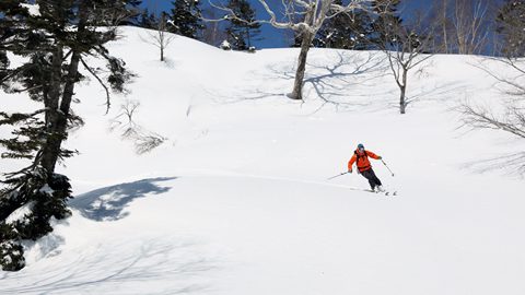 バックカントリー初心者にオススメ！栂池高原からアクセス簡単な鵯峰を紹介！