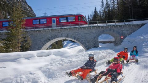 電車と追いかけっこ!?世界遺産の中を木製のソリで大滑走！スイスに行ったらコレで遊ぼう