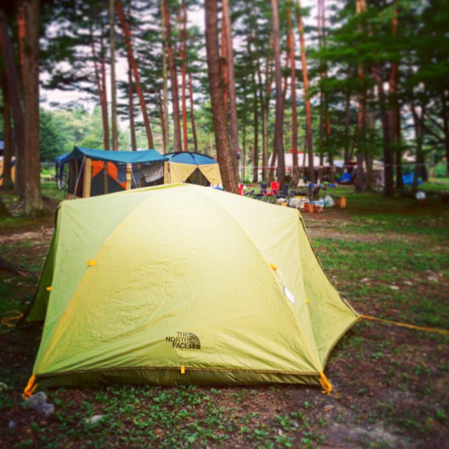 キャンプ テント 2 人 用