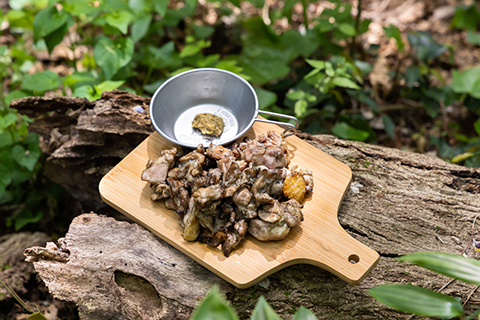 キャンプで食べる郷土料理！宮崎の真っ黒な!?炭火焼き鳥