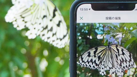 いきものコレクションアプリ「Biome」で子供とのアウトドアが更に楽しくなる！