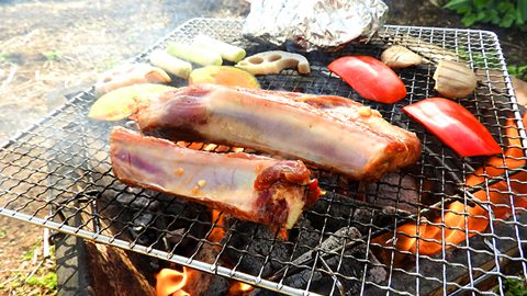 主役級キャンプ飯レシピ。悪魔的においしい！ほめられ特製ダレの骨付き肉