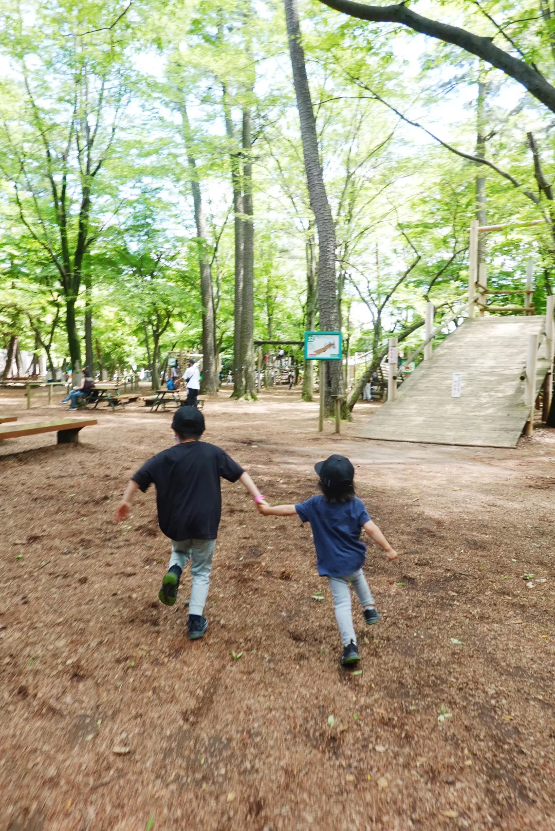 ワンパクな子どもたちも大満足！千葉県野田市「清水公園」のステキな 