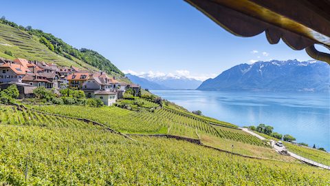 世界遺産の葡萄畑と5月の雪を見に行く！スイス「レマン湖地方」バーチャル・ツアーをレポート