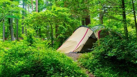 キャンプを気持ちよく楽しむための基本的なマナーと、ケガを予防する薪割りの仕方