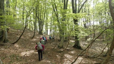 歴史に名を残す合戦の舞台「中央分水嶺・高島トレイル」の歩き方（前編）