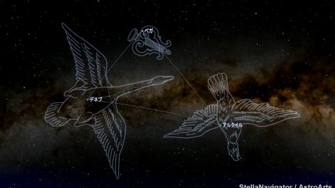 今年の七夕は会えるのか？織女星と牽牛星の中間地点アルビレオを探せ