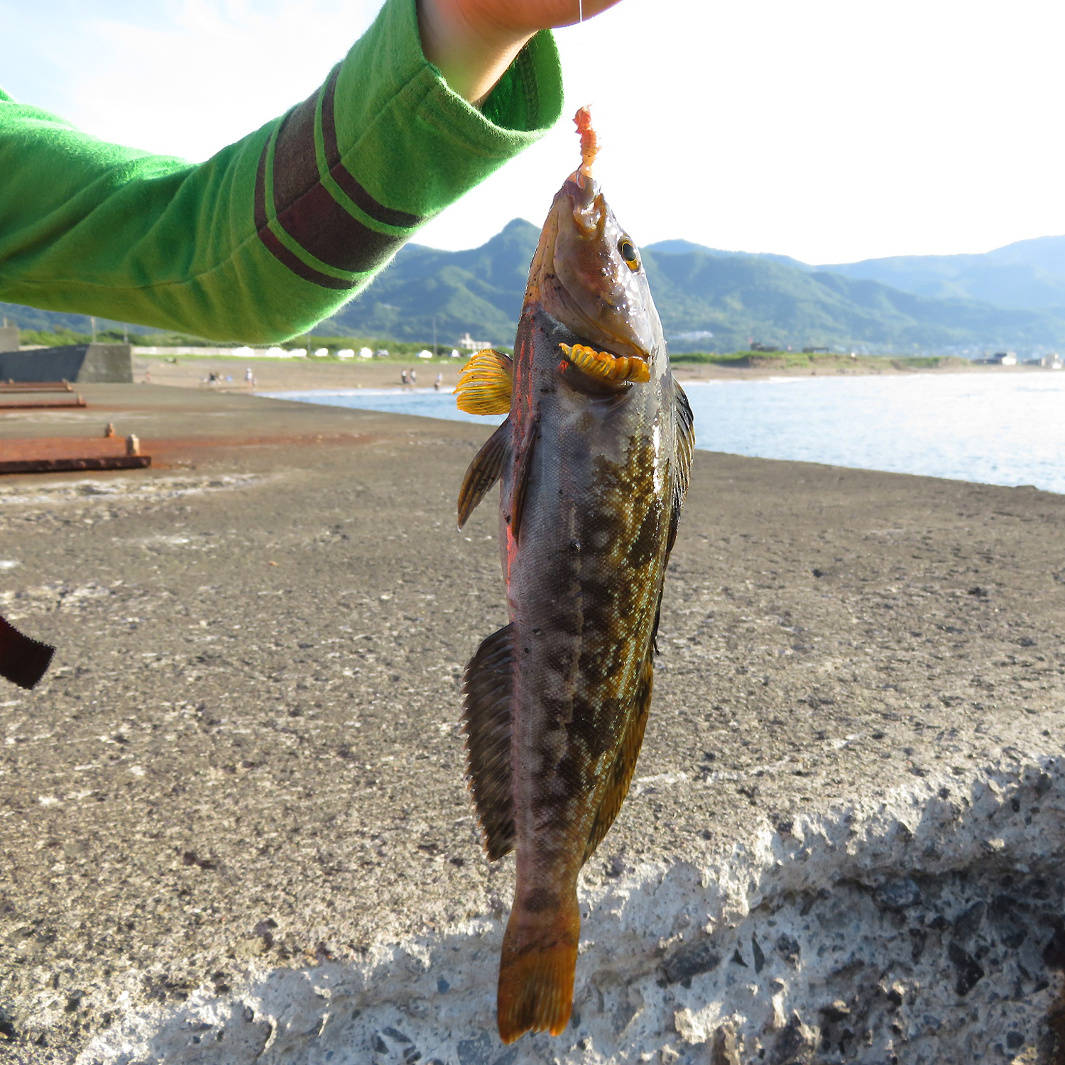 釣りガールはじめよう！初心者にやさしいゆるフィッシングのススメ | 海・川・カヌー・釣り  【BE-PAL】キャンプ、アウトドア、自然派生活の情報源ビーパル