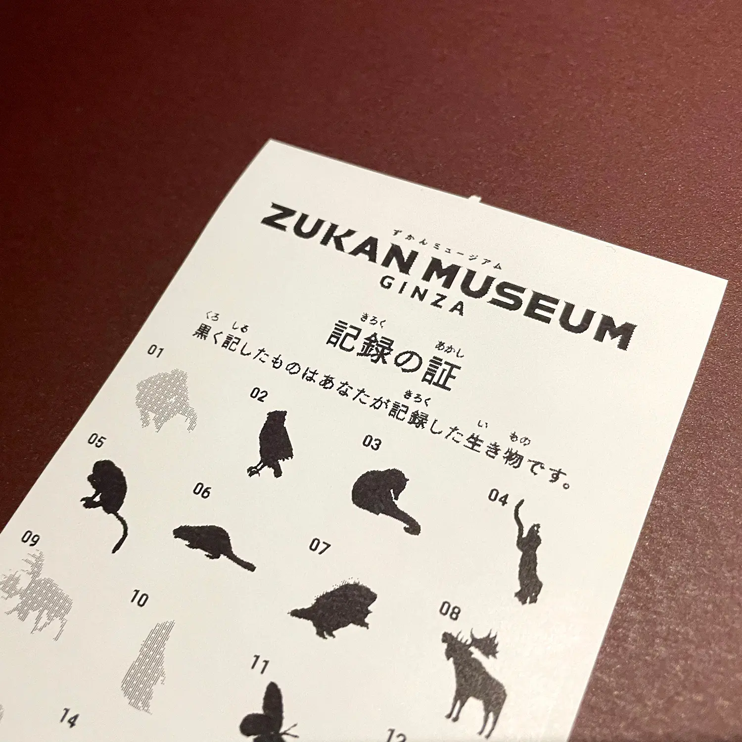 図鑑の世界に没入 Zukan Museum Ginza Powered By 小学館の図鑑neo 開業 Be Pal