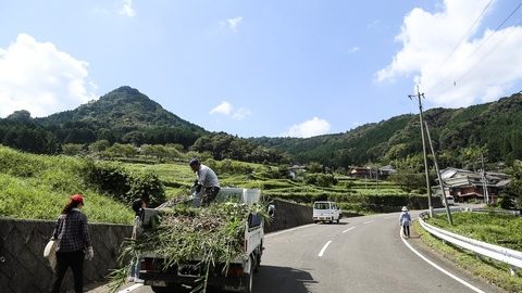 30代独身ライターの実体験！知らないと損する移住の話