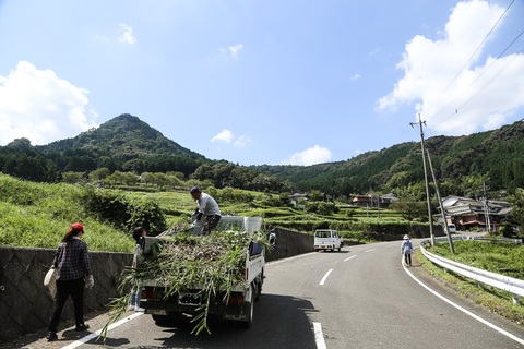 30代独身ライターの実体験！知らないと損する移住の話