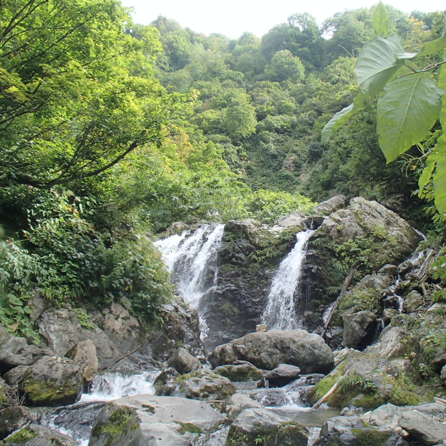 沢登り