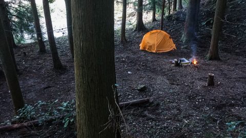 コロナ禍のキャンプに！山林を貸し切りで楽しめる「YAMAKAS（ヤマカス）」に注目