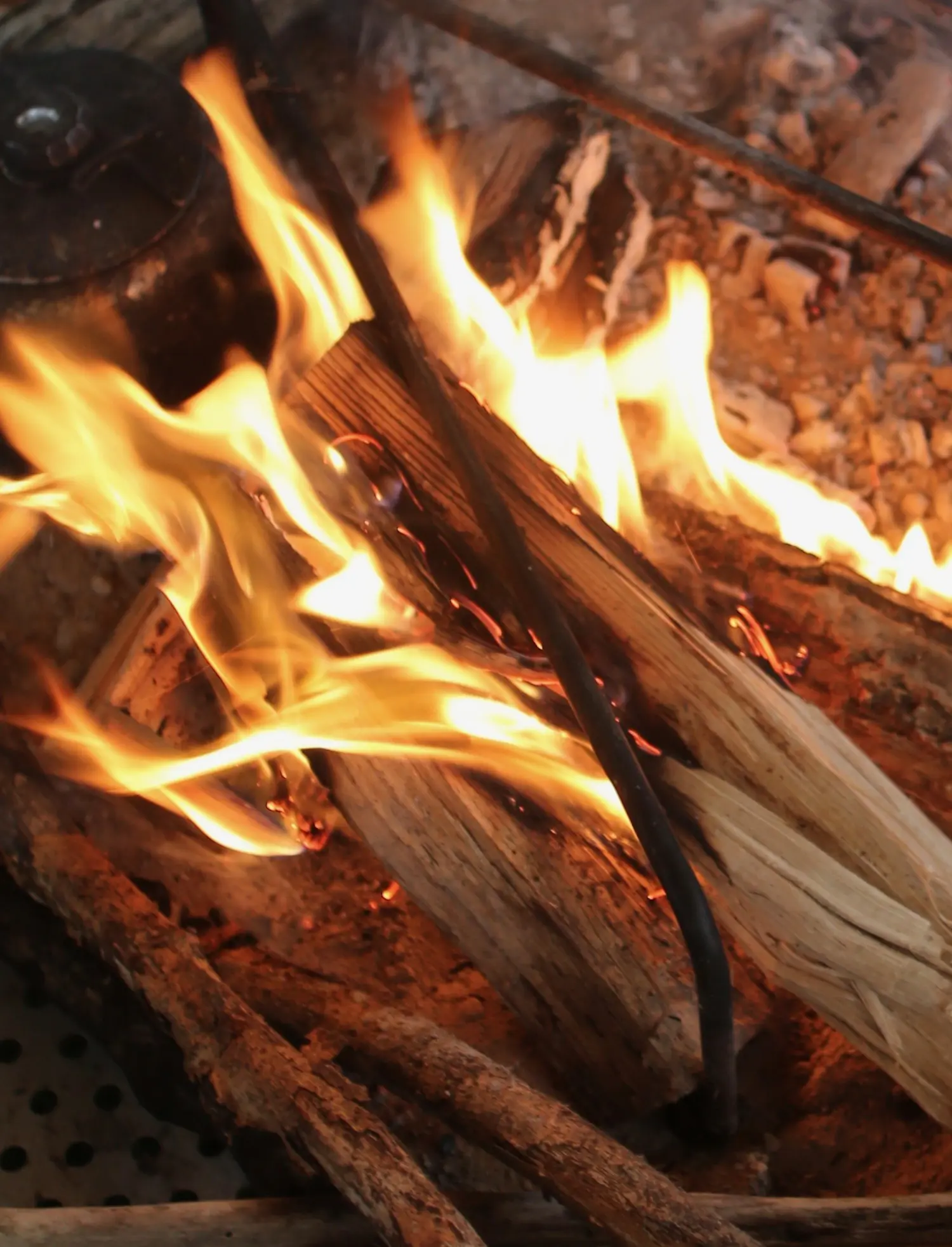 何でも燃やせばいいってもんじゃない 焚き火で燃やしてはいけないものは 焚き火のコツ Be Pal キャンプ アウトドア 自然派生活の情報源ビーパル