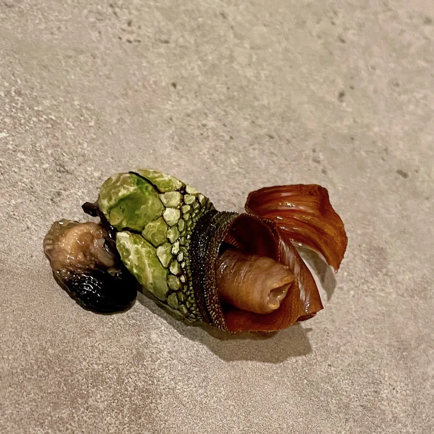 ムール貝 カメノテ アオサ アメリカ西海岸で豊富な海産物を採取 採集 ハンティング Be Pal キャンプ アウトドア 自然派生活の情報源ビーパル