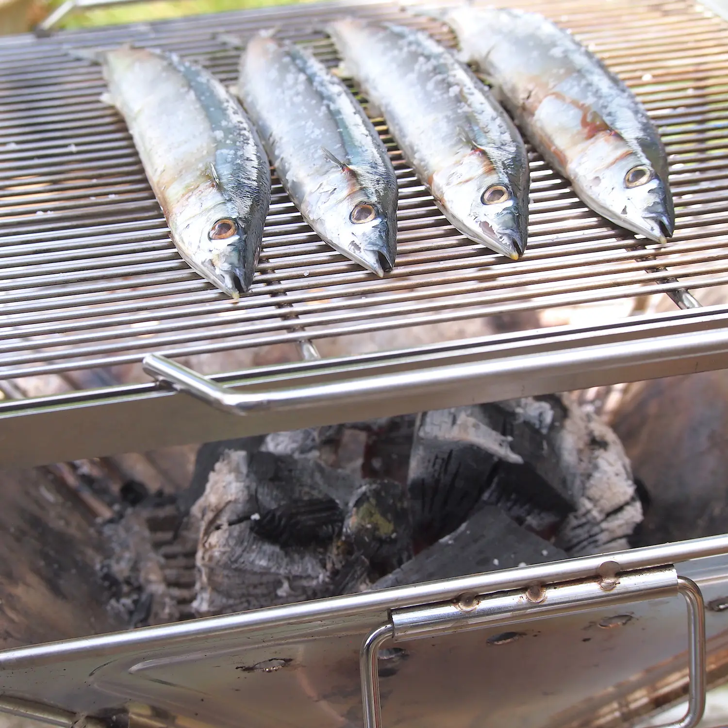 旬の魚をキャンプで楽しもう 秋刀魚の塩焼きを炭火で美味しく焼くコツ Be Pal