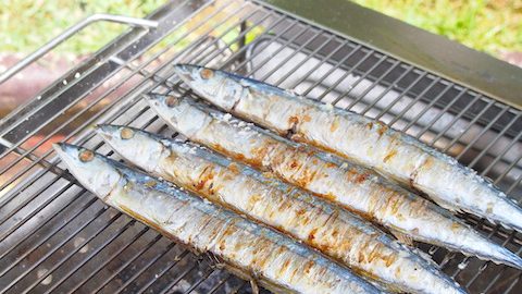 旬の魚をキャンプで楽しもう！秋刀魚の塩焼きを炭火で美味しく焼くコツ