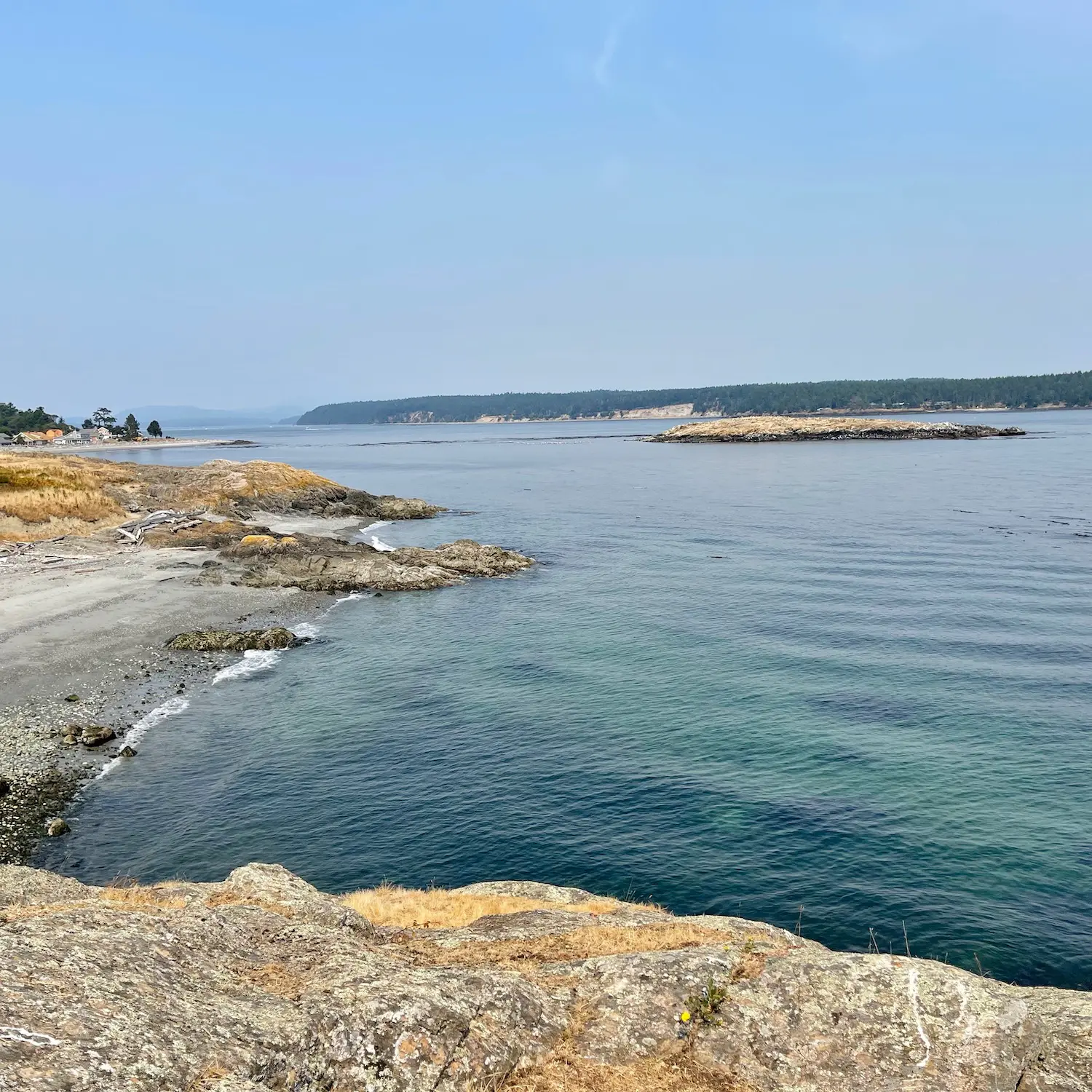 ムール貝 カメノテ アオサ アメリカ西海岸で豊富な海産物を採取 採集 ハンティング Be Pal キャンプ アウトドア 自然派生活の情報源ビーパル