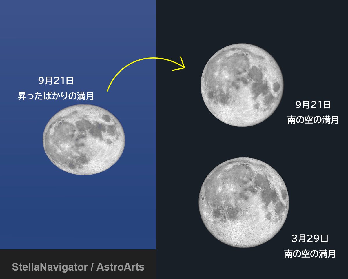 9月21日は中秋の名月 ウサギの姿勢に注目です 自然観察 Be Pal キャンプ アウトドア 自然派生活の情報源ビーパル