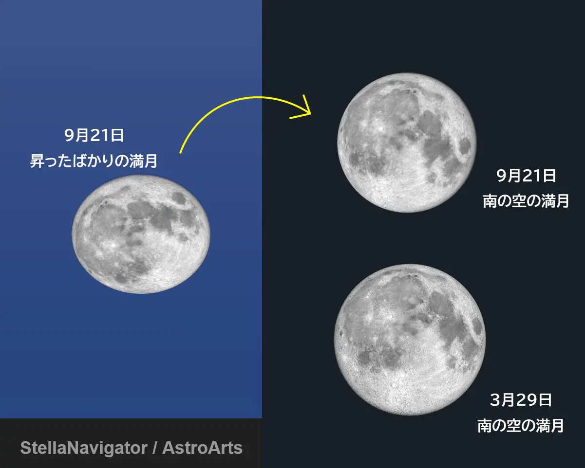 9月21日は中秋の名月 ウサギの姿勢に注目です 自然観察 Be Pal キャンプ アウトドア 自然派生活の情報源ビーパル