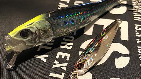 本物の魚そっくりに作られたルアーは釣れるのか？実際に釣ってみた結果を大公開！