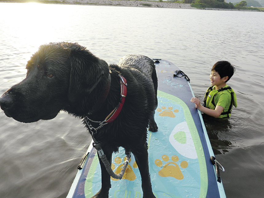 SUPに乗った犬とボードをもつ子供