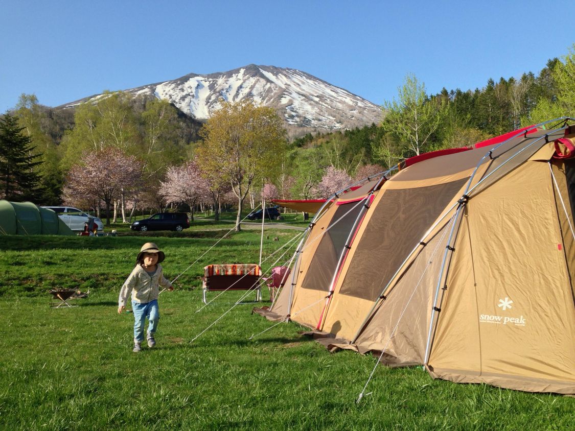 羊蹄山と桜［読者投稿記事］