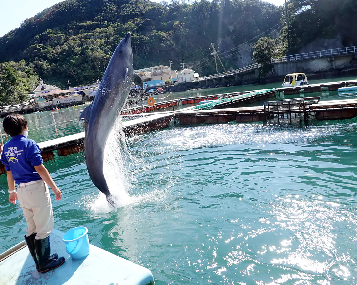 イチオシはイルカと遊べる水族館 親子みんなで楽しめる南伊豆キャンピングカー旅 キャンピングカー Be Pal キャンプ アウトドア 自然派生活の情報源ビーパル