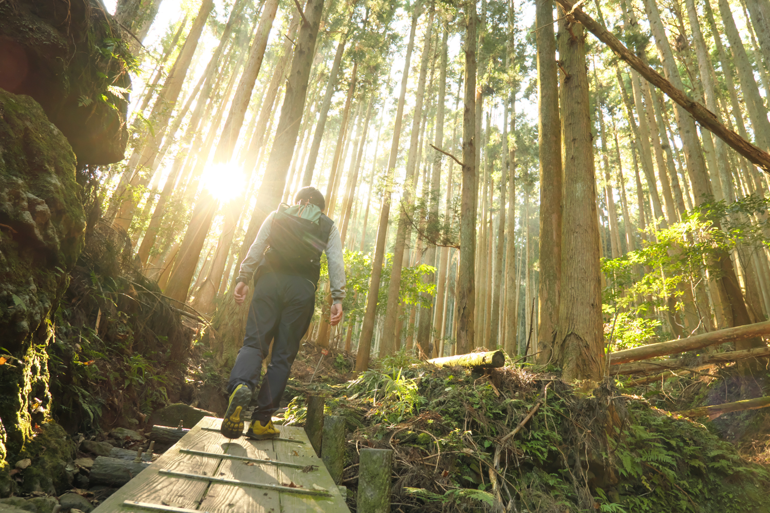 低山ハイク