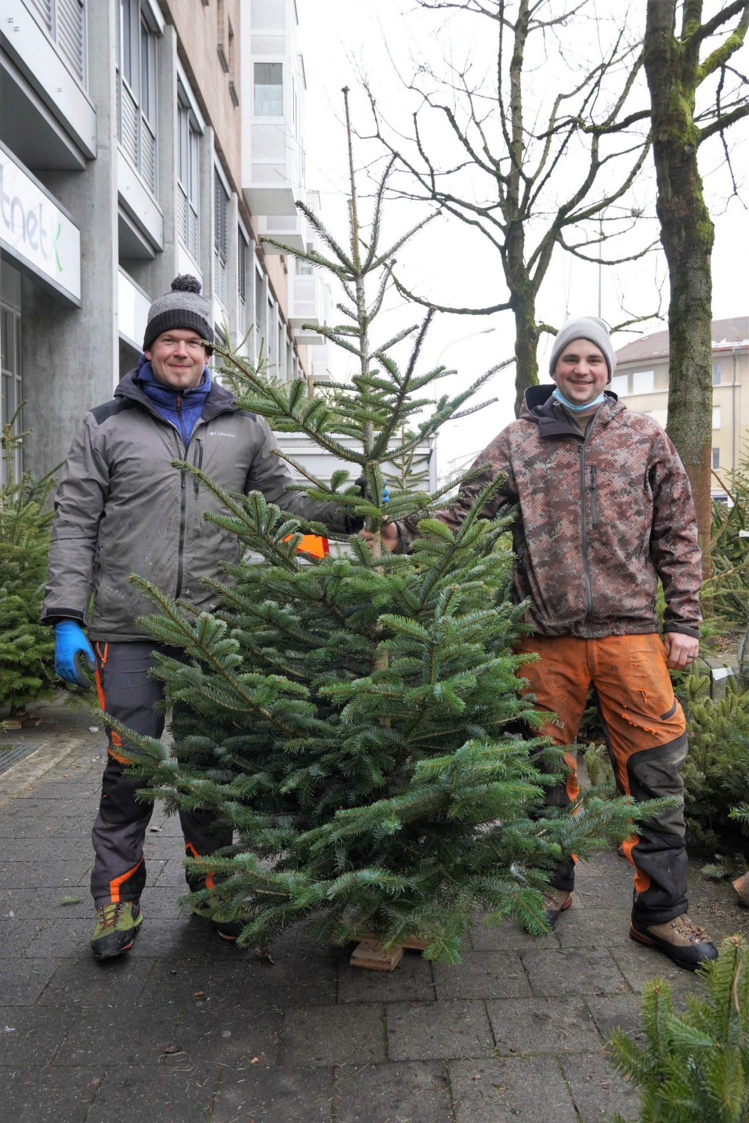 クリスマスツリーを育てる仕事をしているペーターさんと相棒