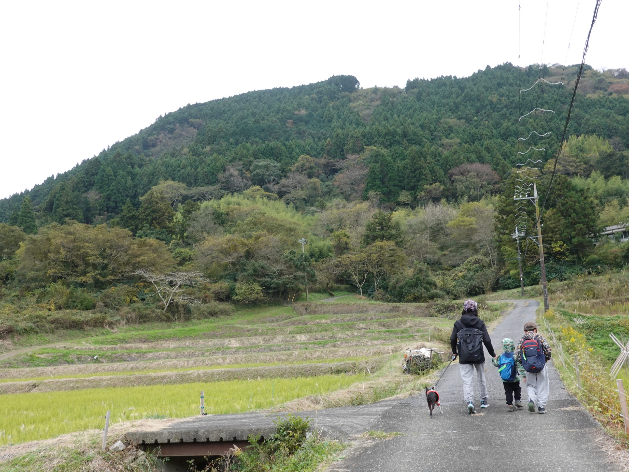 里山を歩きはじめる