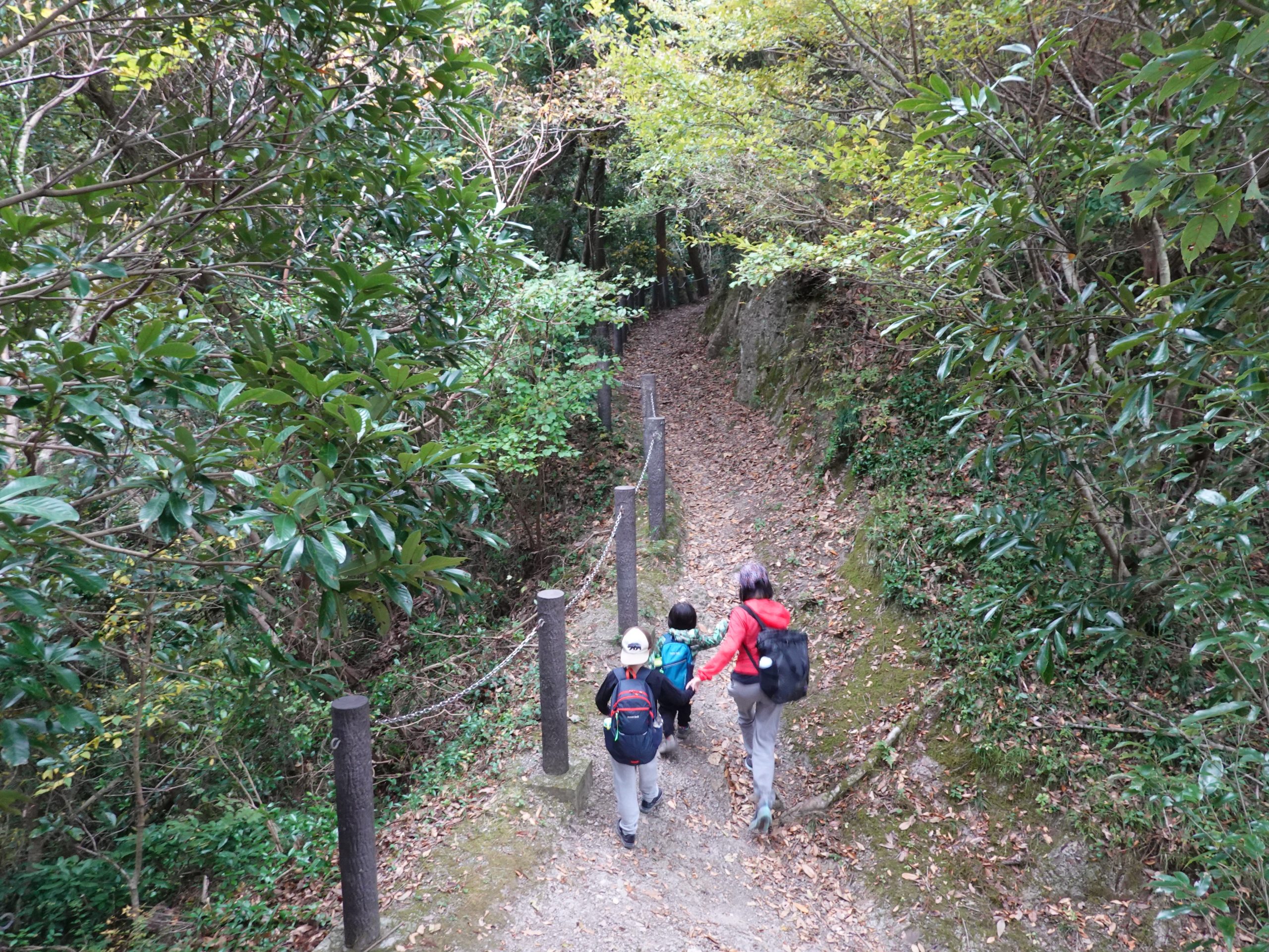 ほぼ貸し切りだった人が少ない山道