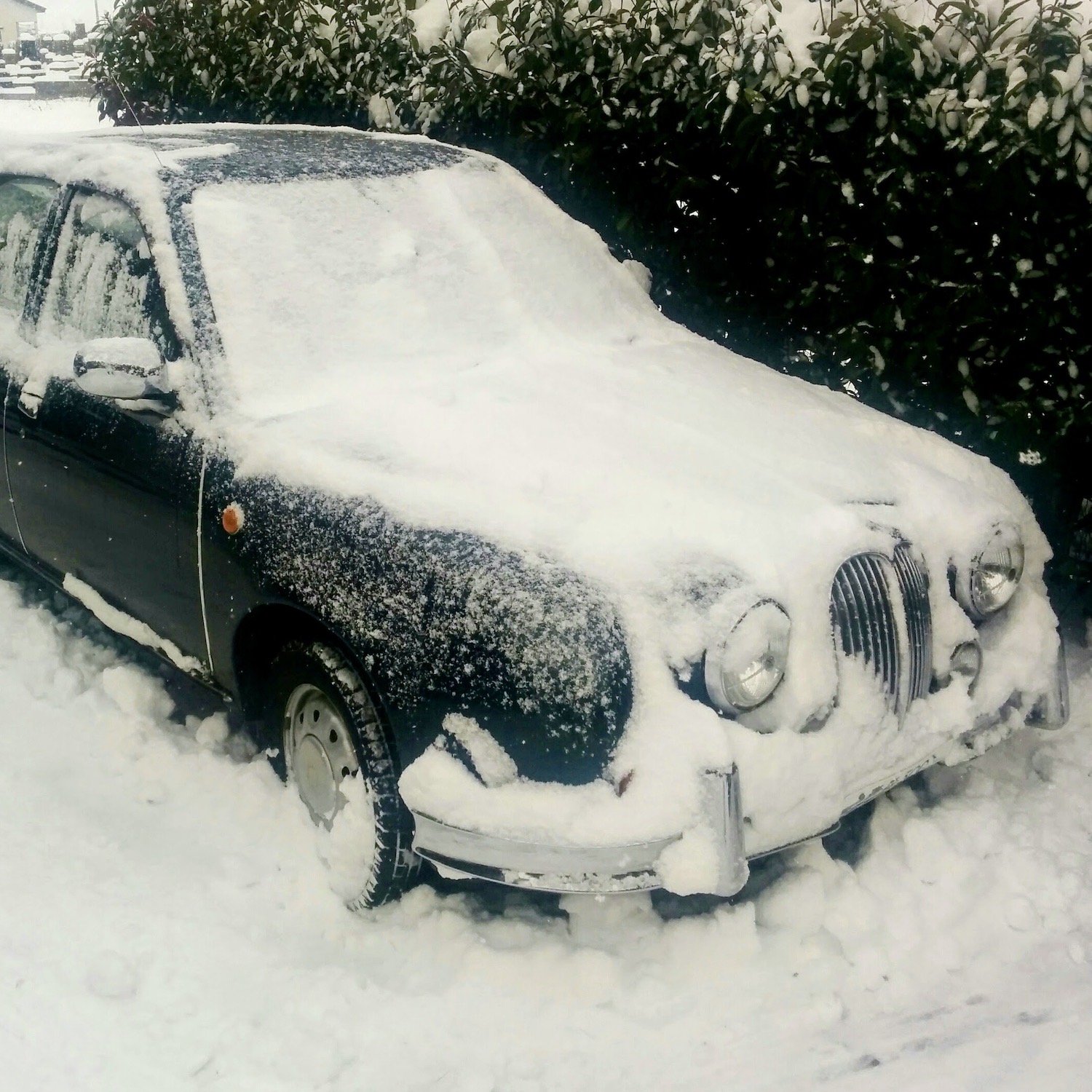 雪に覆われたクルマ