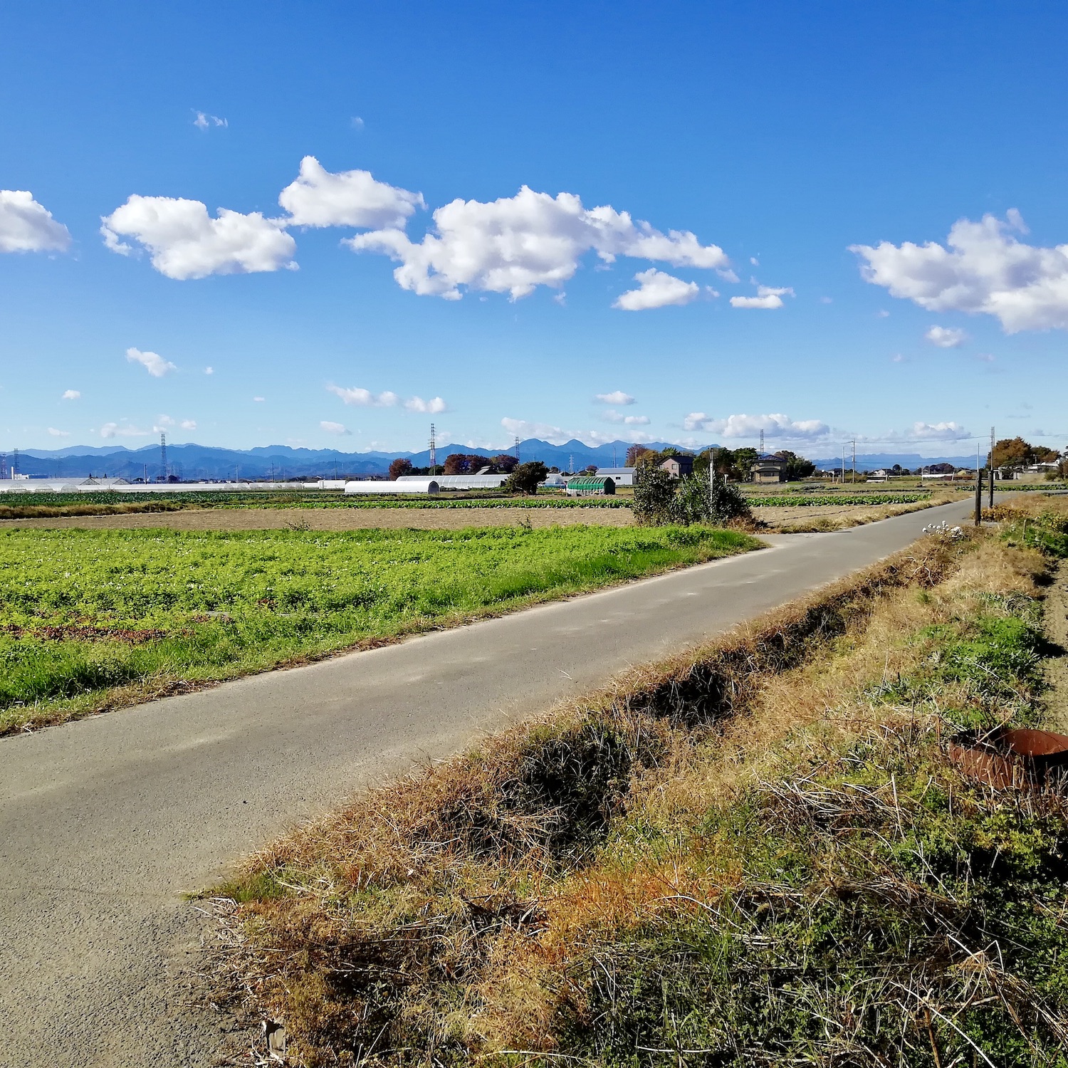 畑の中の道。遠くに山並みが見え、青空に雲が浮かぶ