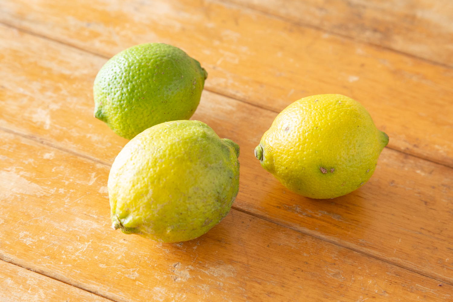 今回使用した国産の無農薬レモン。