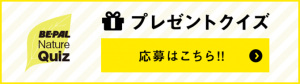 プレゼントクイズ 応募はこちら