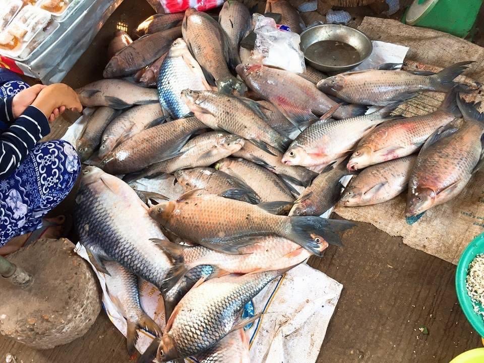 ラオスの市場の魚屋さん