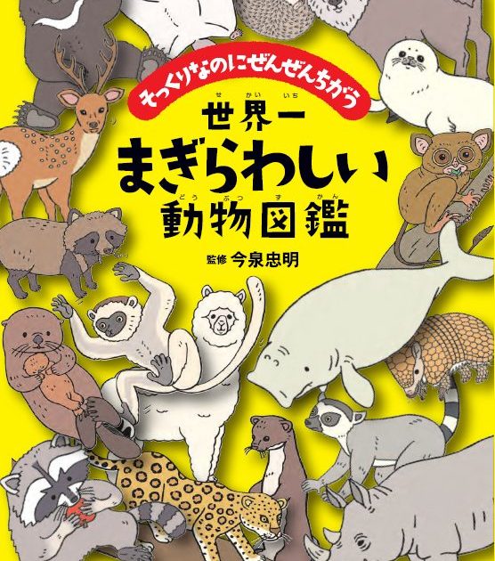 あなたはいくつ正解できるか まぎらわしい動物写真クイズに挑戦 自然観察 Be Pal キャンプ アウトドア 自然派生活の情報源ビーパル あなたはいくつ正解できるか まぎらわしい動物写真クイズに挑戦 自然観察 Be Pal キャンプ アウトドア 自然派生活の情報源ビーパル