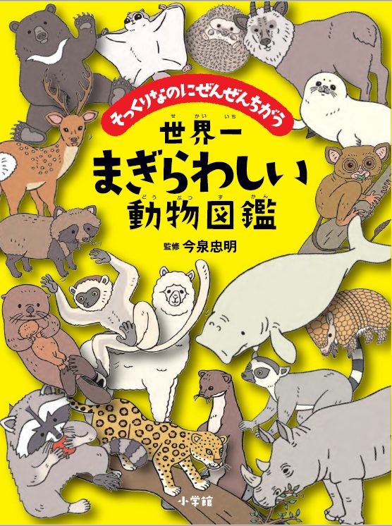 あなたはいくつ正解できるか まぎらわしい動物写真クイズに挑戦 自然観察 Be Pal キャンプ アウトドア 自然派生活の情報源ビーパル